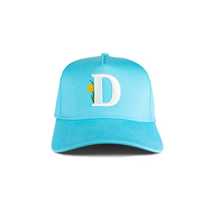"D" Alphabet Hat
