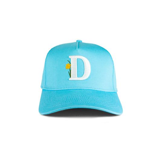 "D" Alphabet Hat